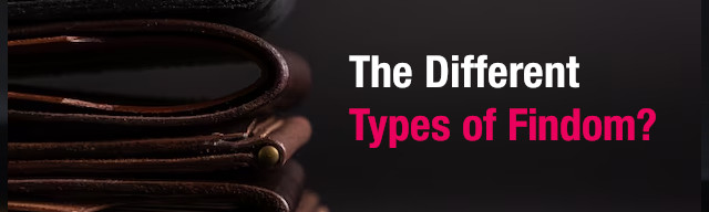 Types of Findoms. Discover the Differences?