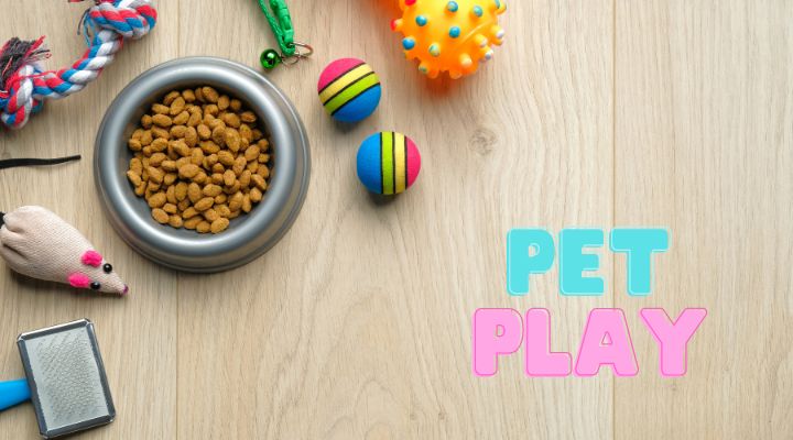 Begrip van Pet Play