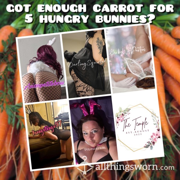 🐇 5 Sexy Bunnies&25 Photos, Easy Download In This Interactive Experience 🐇