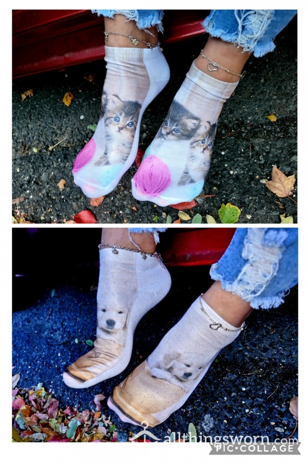 Adorable Animal Ankle Socks - 🐱Kittens And Puppy🐶 - White Bottoms