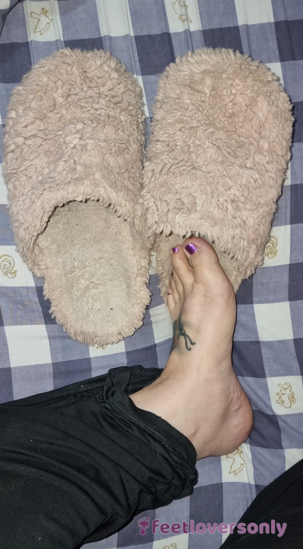 Cheesy Old Slippers