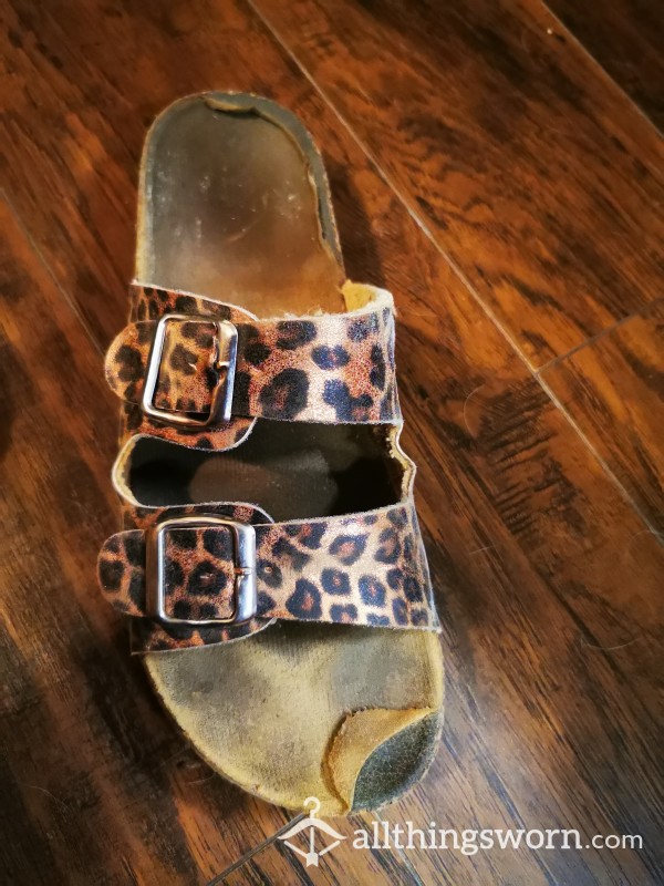 Cheetah Print Shoes 🐆