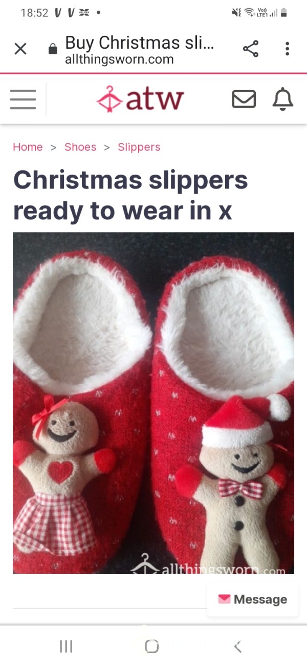 Christmas Slippers Ready To Wear In X