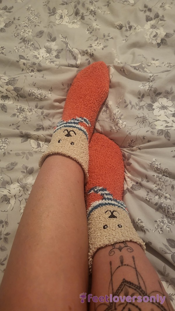 Cute Bed Socks
