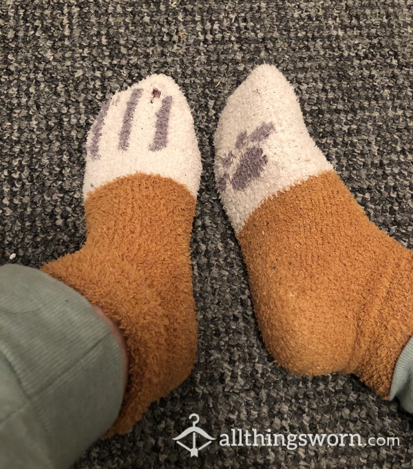 Cute Paw Fluffy Socks 🐾