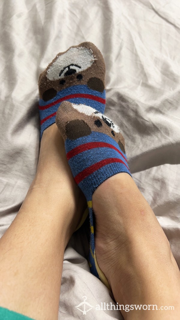 Cute Stinky Bear Socks Worn For 2 Days While Working Out