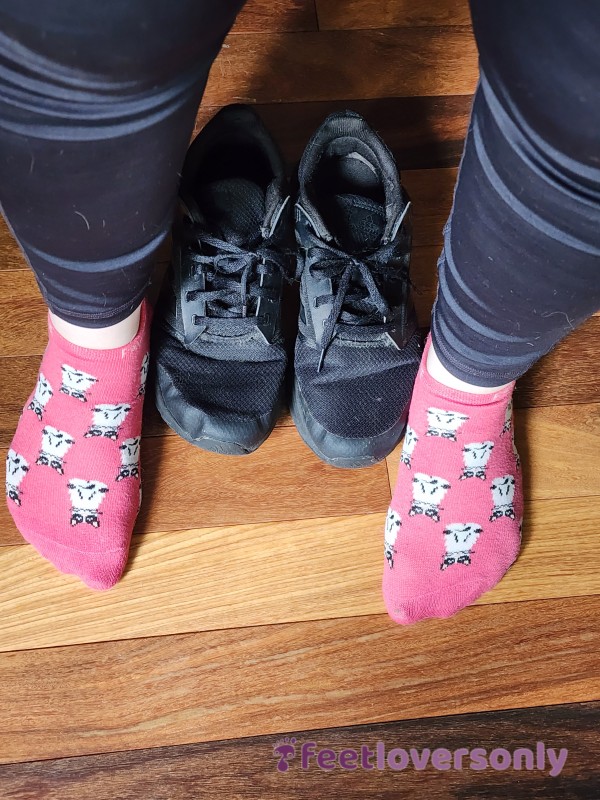 Cute Used Pink Socks With Cats