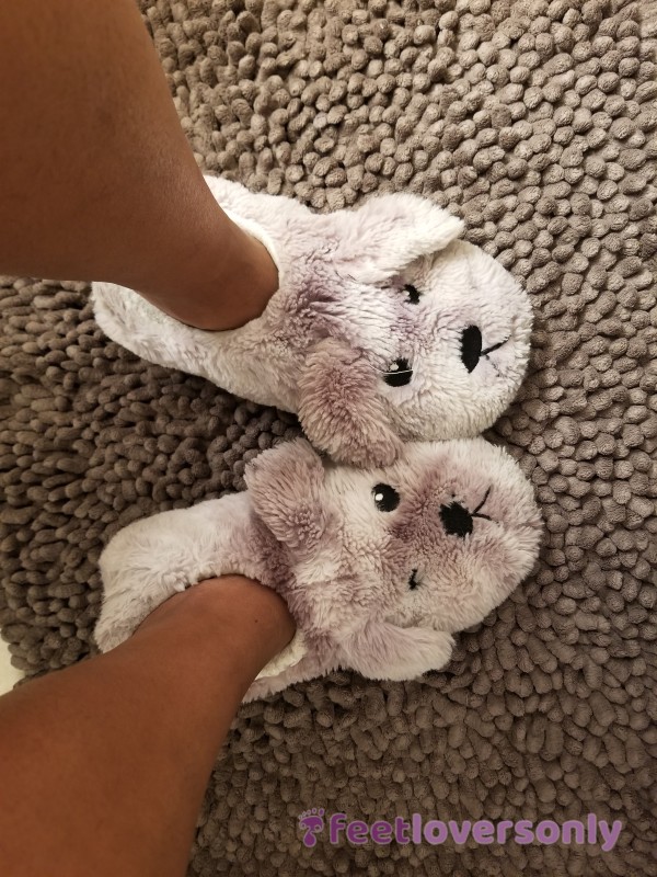 Cute Worn Fluffy Slippers
