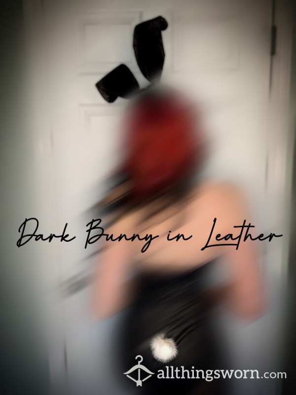 Dark Bunny In Leather