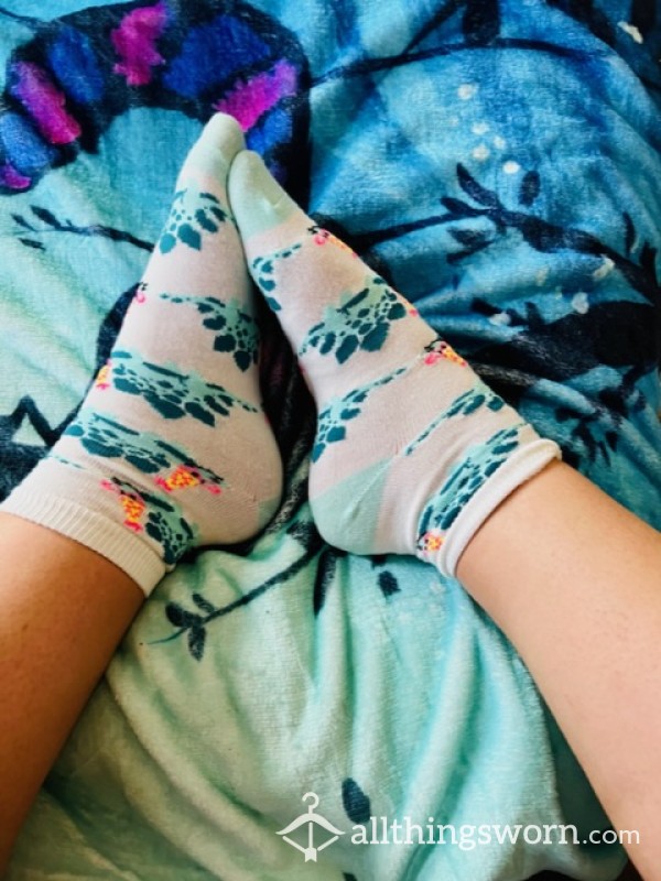Dinosaur Ankle Socks 🦕🧦 Comes With 72 Hour Wear