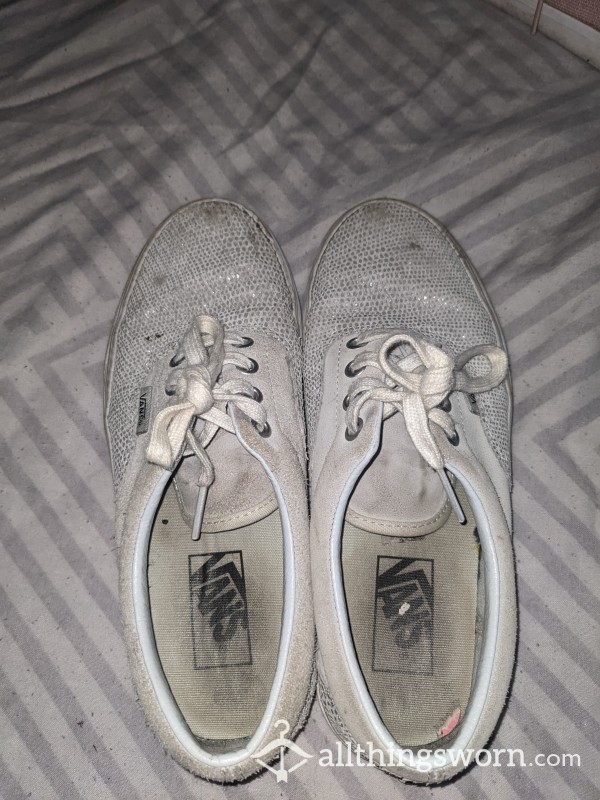 Dirty Vans... Extremely Smelly