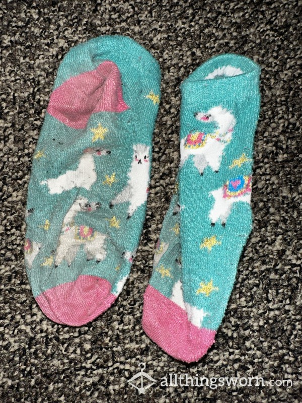 Dirty, Well-Worn Llama Ankle Socks