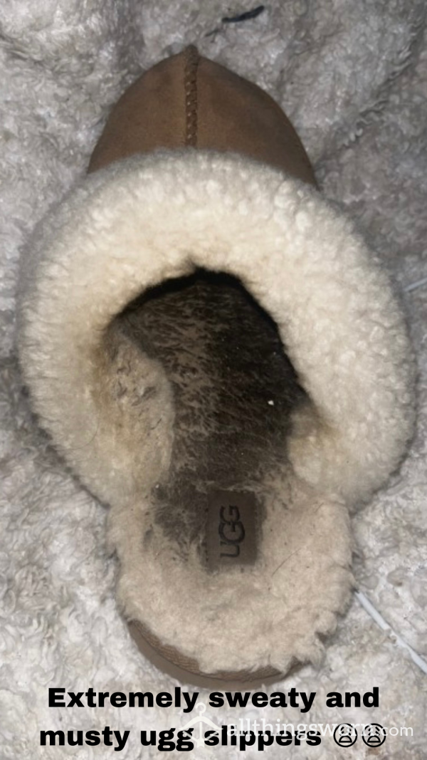 Extremely Well Worn Ugg Slippers