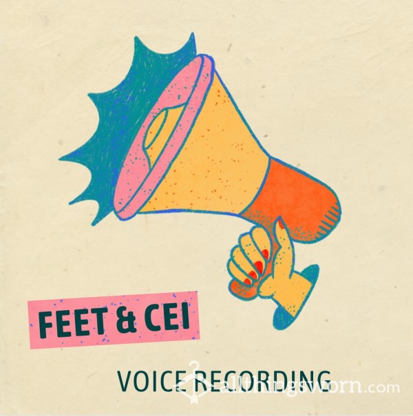 Feet & CEI Voice Recording
