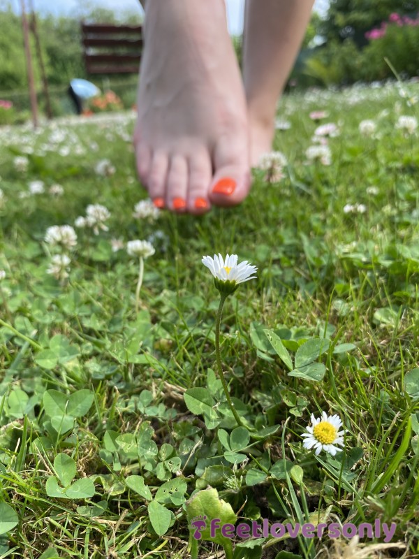 Feet Meeting With Nature 🍀 Just My Feets And Nature 🌸
