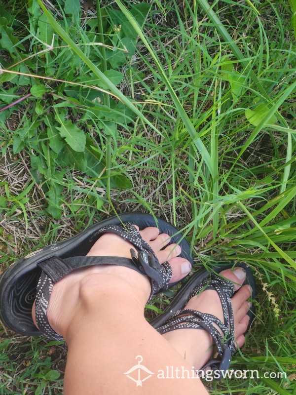 Feet On The Farm