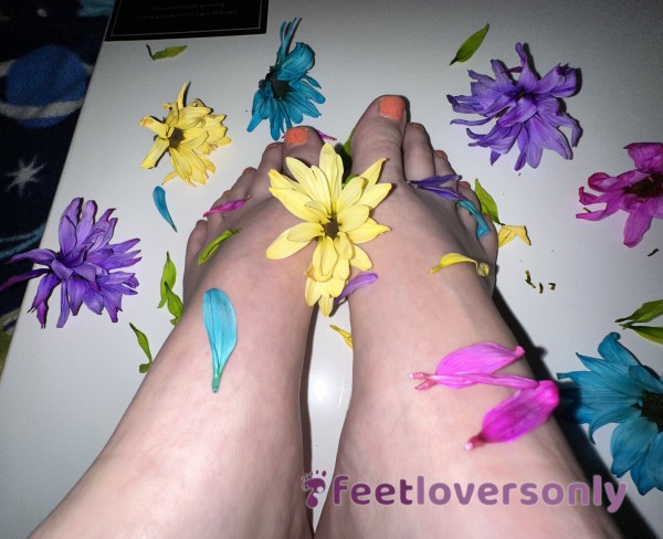 🌼 👣 Floral Barefoot Photoshoot! 👣 🌸