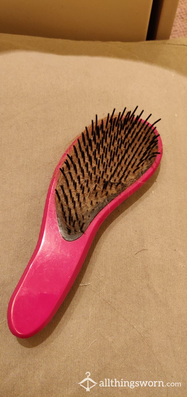 Hairbrush Well Used.
