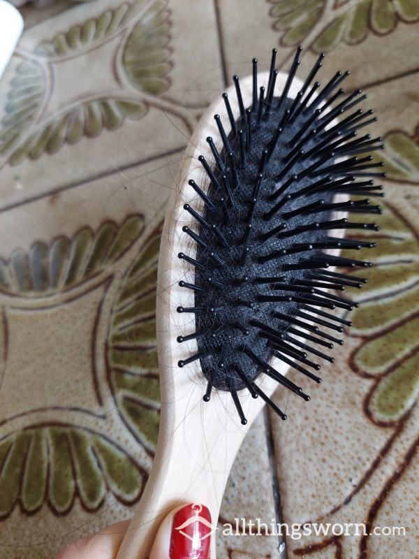 Hairbrush With Lots Of Hair For €20 Plus Shipping.