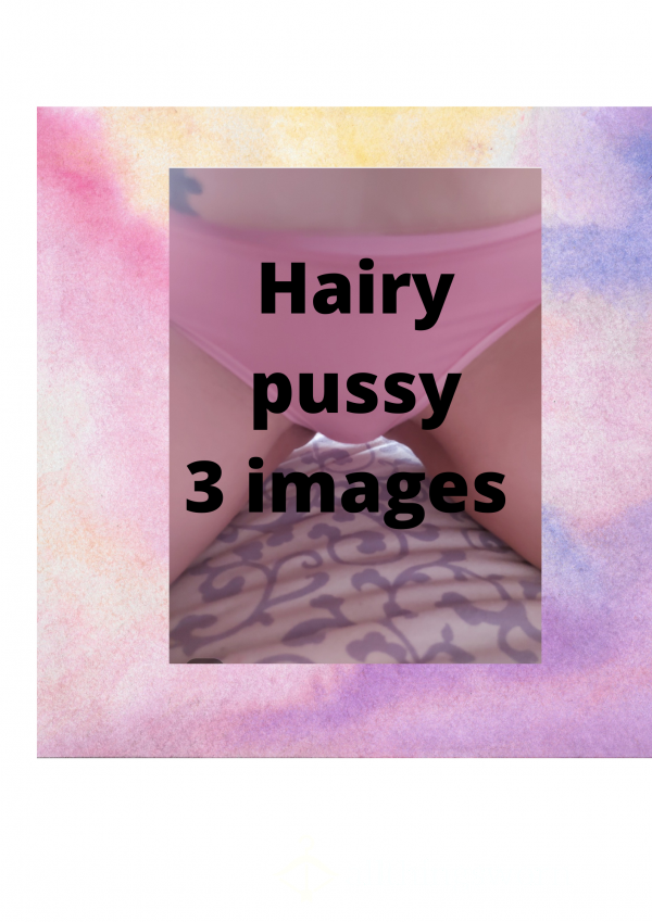 Hairy Pussy 3 Images
