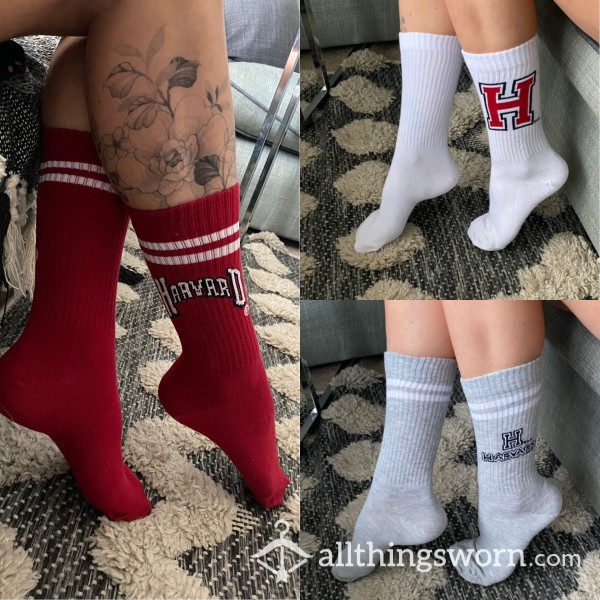 Harvard Socks (worn)