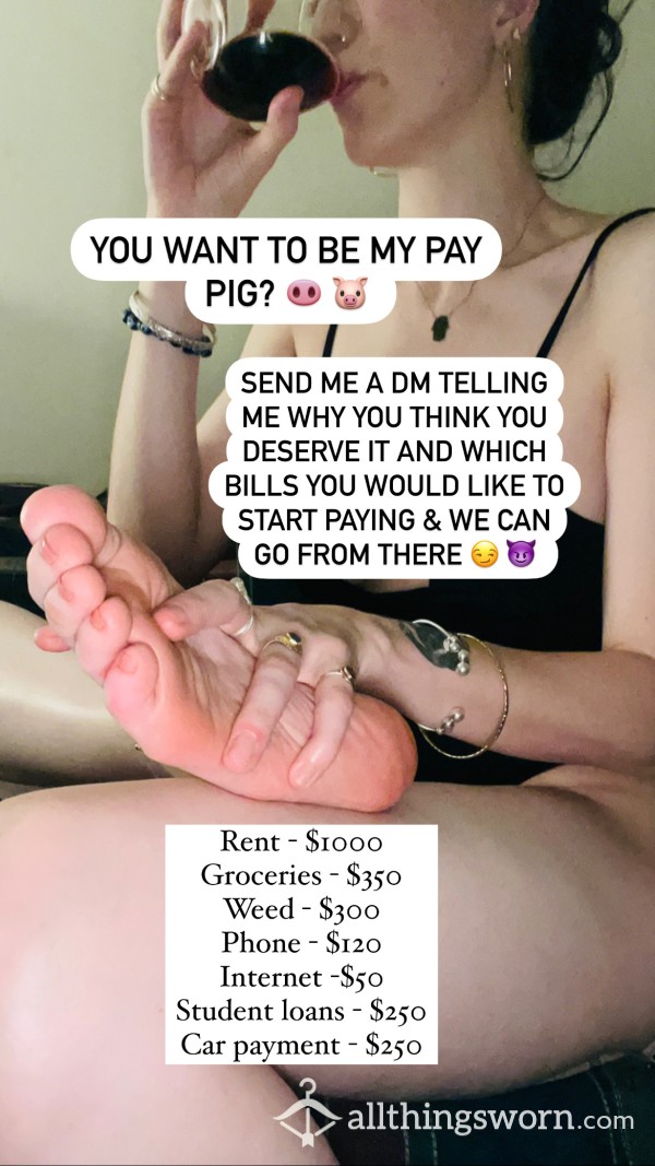 Here Piggy Piggy 🐷 Looking For A Special Pay Pig!