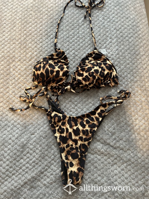 Inside My Creamy Leopard Bikini Panties🍑💦