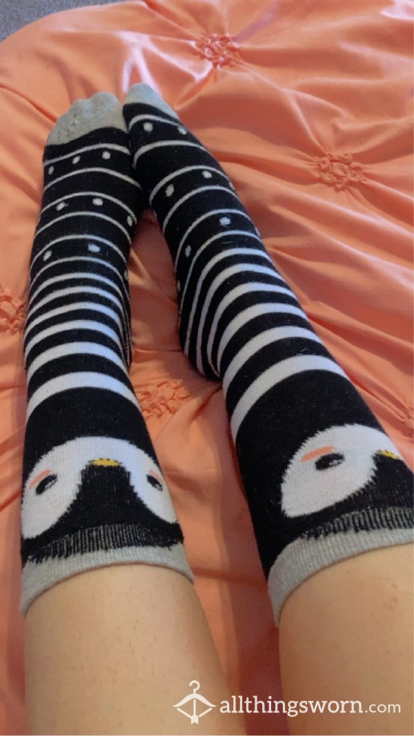 Knee High Cute Penguins!