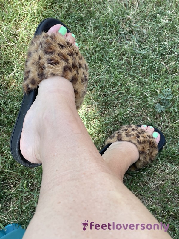 Leopard Slide Sandals, Worn In Stinky Smelly