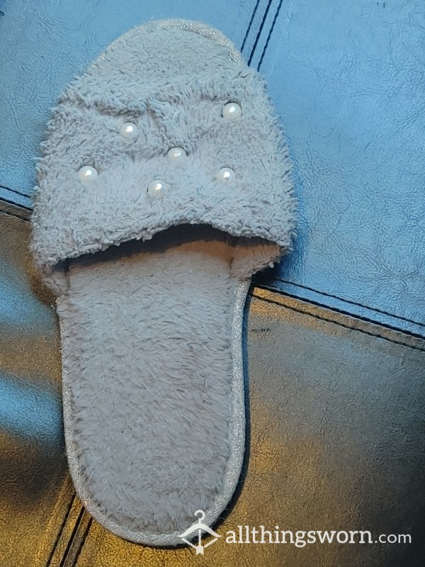 Lonely House Slipper...needs A Home