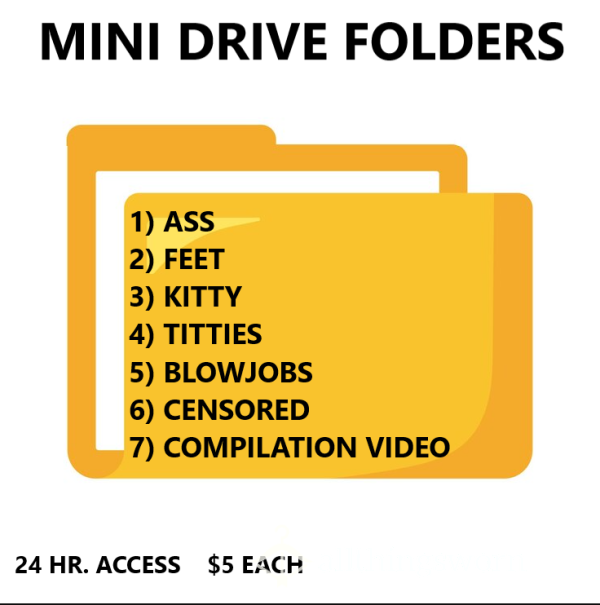 Mini Drive Folders