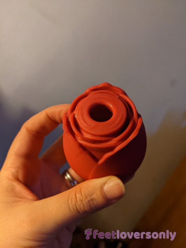 My Favourite Rose Sex Toy