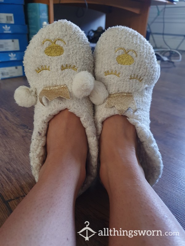 Old And Stinky Slippers