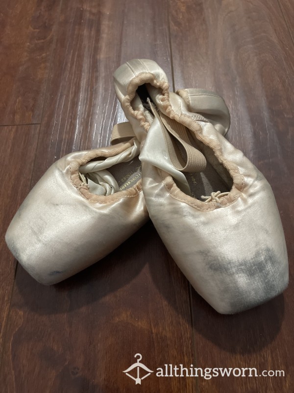 Old Bloch Pointe Shoes