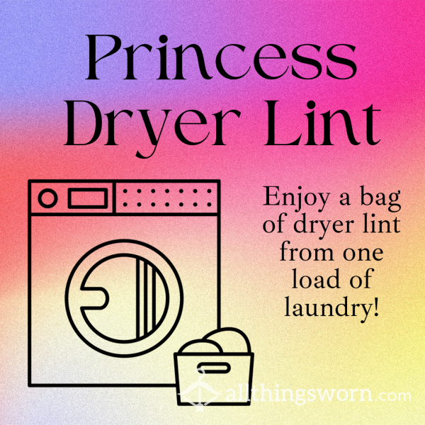 Princess Dryer Lint