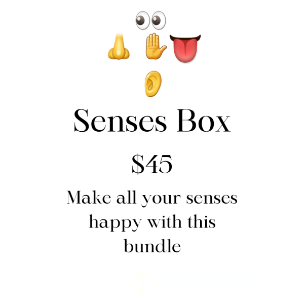 Senses Box