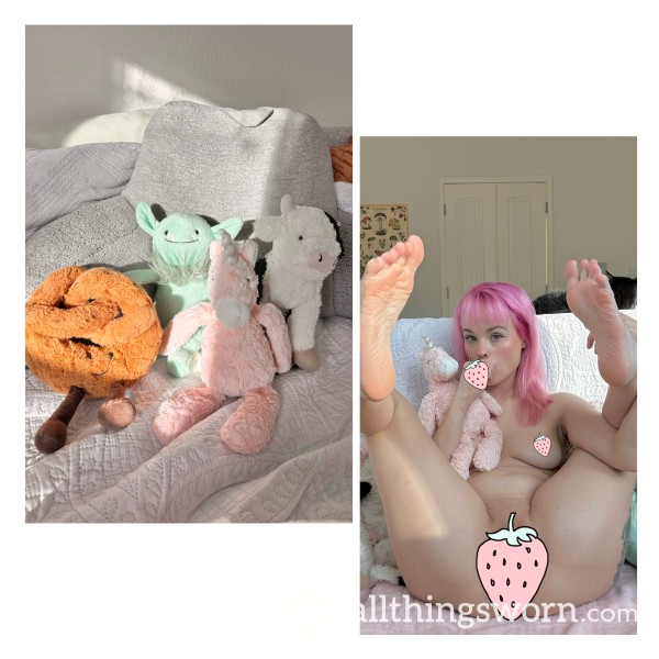 Small Plushies | Pick Your Plush | Stuffed Animal | Plush Toy | Used | Scented | Includes Photoset