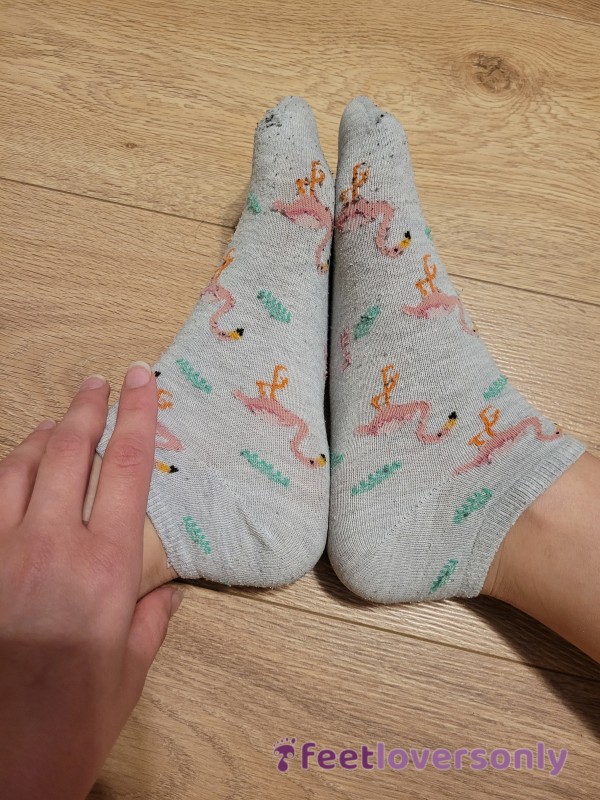 Smelly, Grey Flamingo Ankle Socks