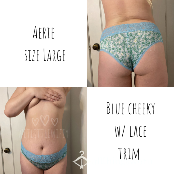 Super Soft Blue Floral Aerie Cheeky With Soft Lace Trim