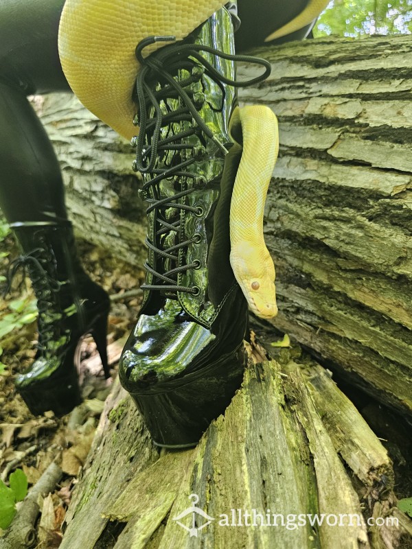 There's A Snake On My Boots
