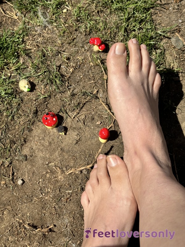Toy Mushroom 🍄 Play With Feet