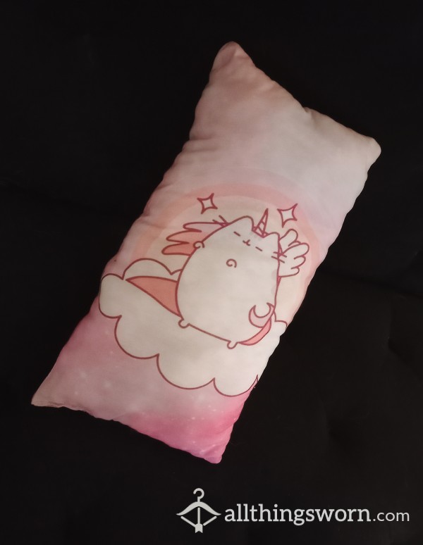 Used Mini Pillow