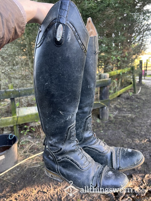 Very Well Worn Leather Riding Boots