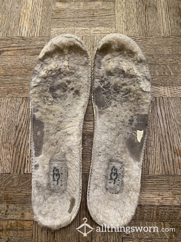 Very Well-Worn Ugg Boot Insoles