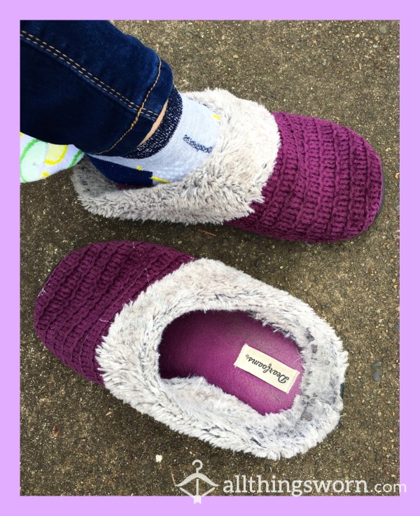 Well Loved Purple Slippers