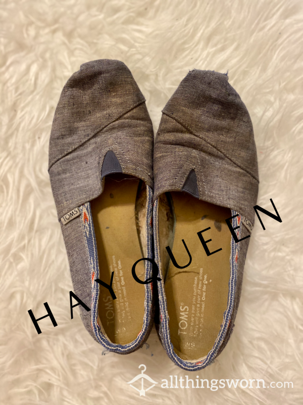 Well Loved TOMS | Women's 9