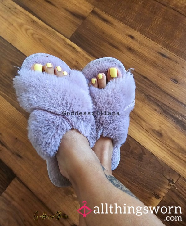 Well Worn Fuzzy Cute Slippers