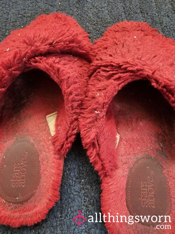 Well Worn Red House Shoes