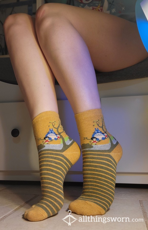 Yellow And Grey My Neighbor Totoro Socks