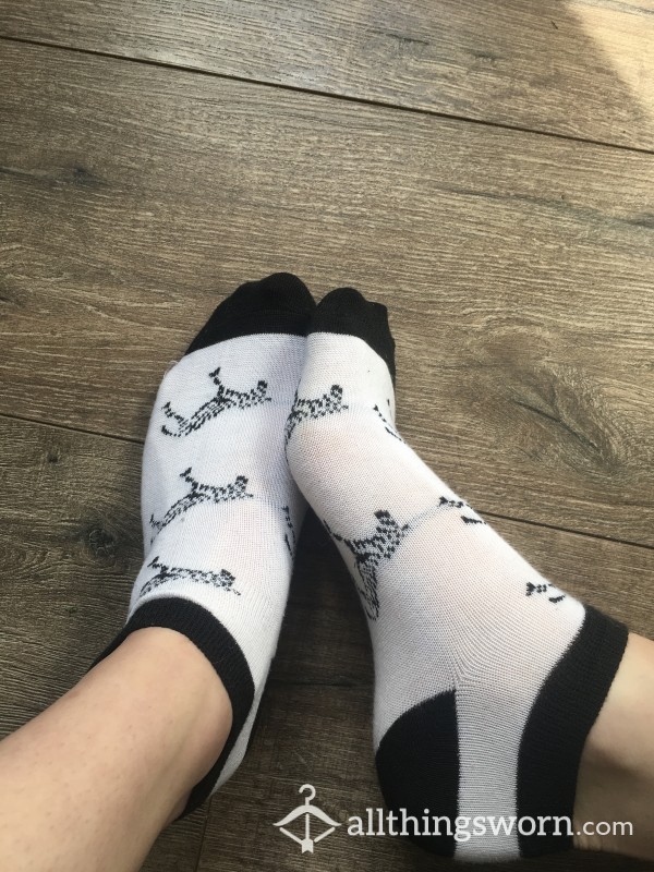 Zebra Socks 48hr Wear